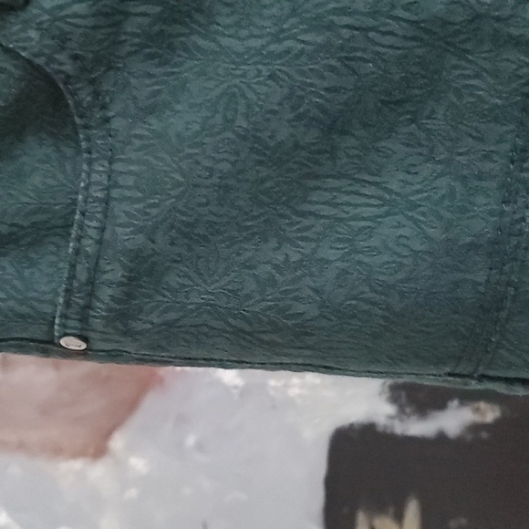 Pilcro & The Letterpress Damask Green Zip Ankle Crop Jean Anthropologie Women 26 - Picture 10 of 11